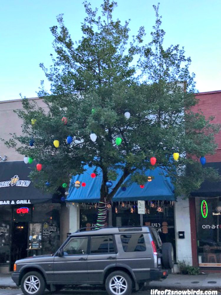 It's Christmastime In The City Life Of 2 Snowbirds