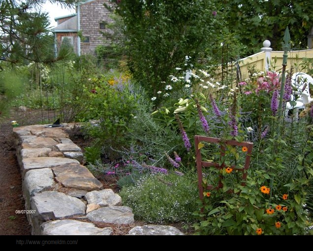 Renée Finberg ' TELLS ALL ' in her blog of her Adventures in Design