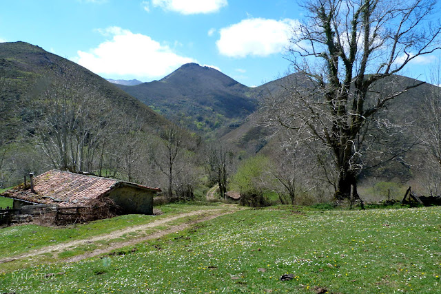 Collada del Corralín - Sierra de Pesquerín - Asturias Collada del Corralín - Sierra de Pesquerín - Asturias