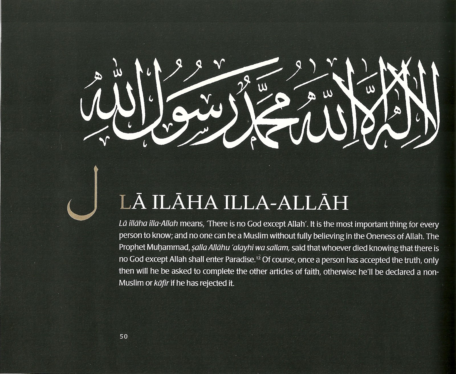 Novelism. Writing away. Write away. Virtual letter with text and an interface. Человек занимается любимым делом.