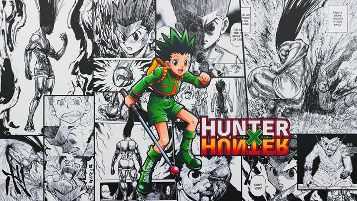 Hunter X Hunter Hunter X Hunter