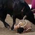 Noble art or brutal blood sport? Matador’s death reignites debate