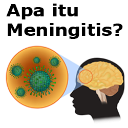 apa itu meningitis