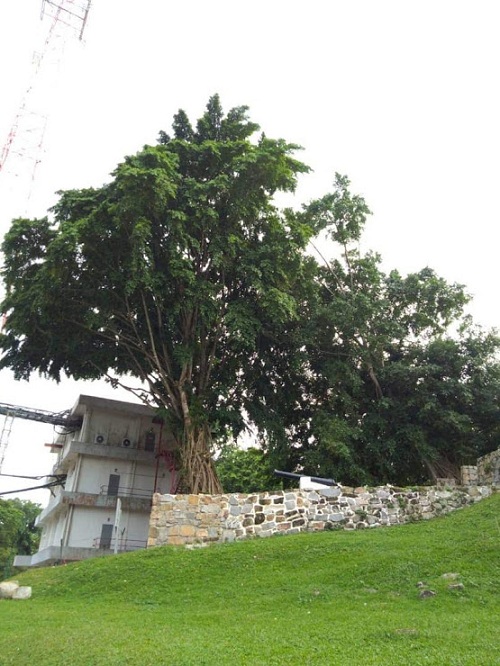 Bukit Melawati, Kuala Selangor banyak monyet Bukit Melawati, Kuala Selangor banyak monyet