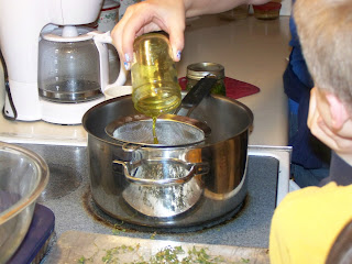 Here's how to make chickweed salve from this common herb growing in your yard!