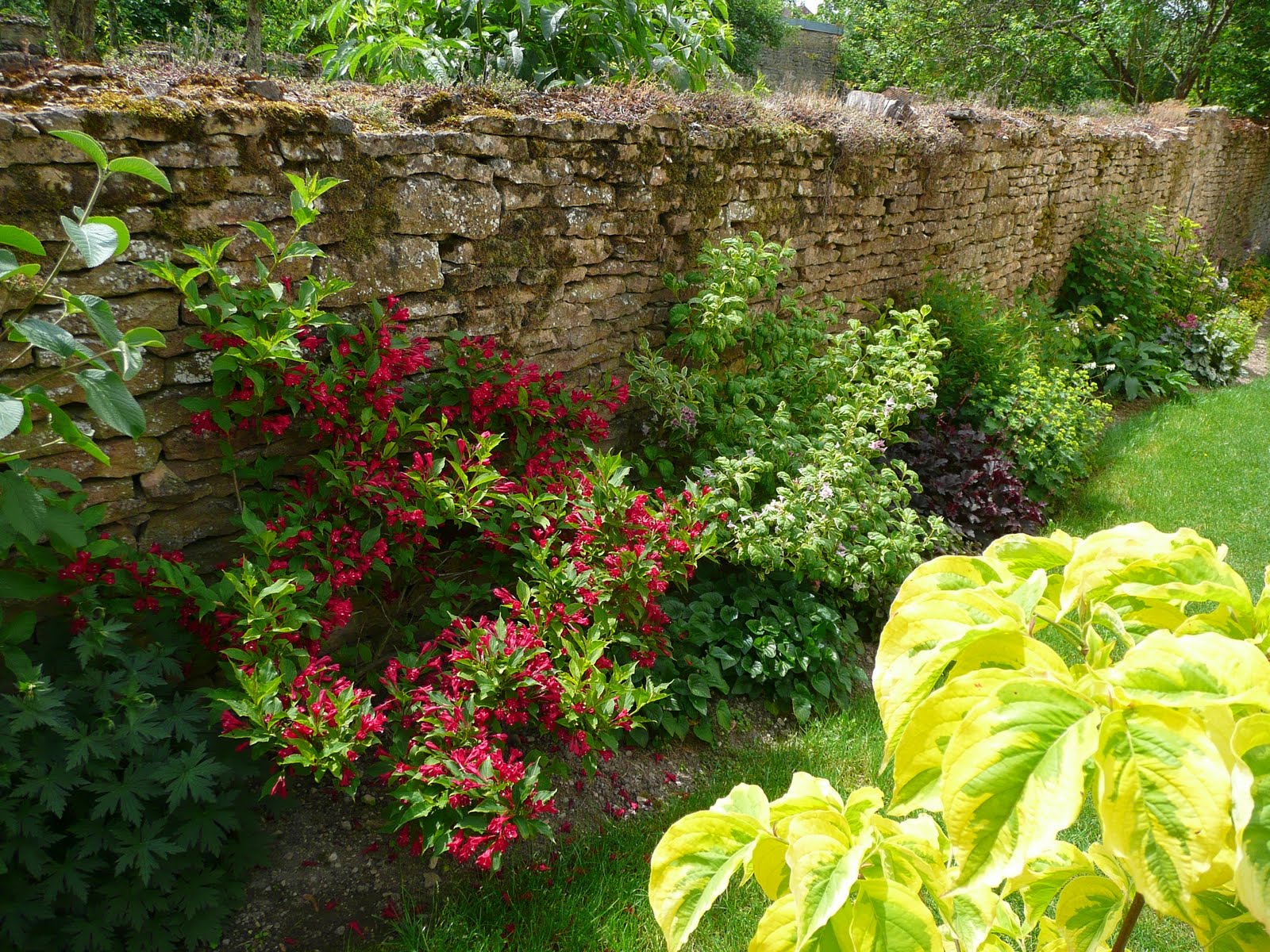 Notre Jardin Secret Arbustes Et Compagnie