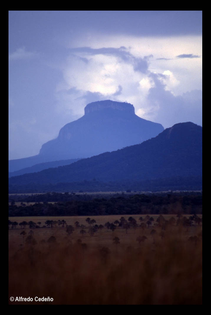 Textos y fotos MACIZO