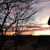 Winter Sunsets