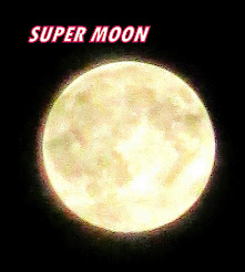 Super Moon 2014