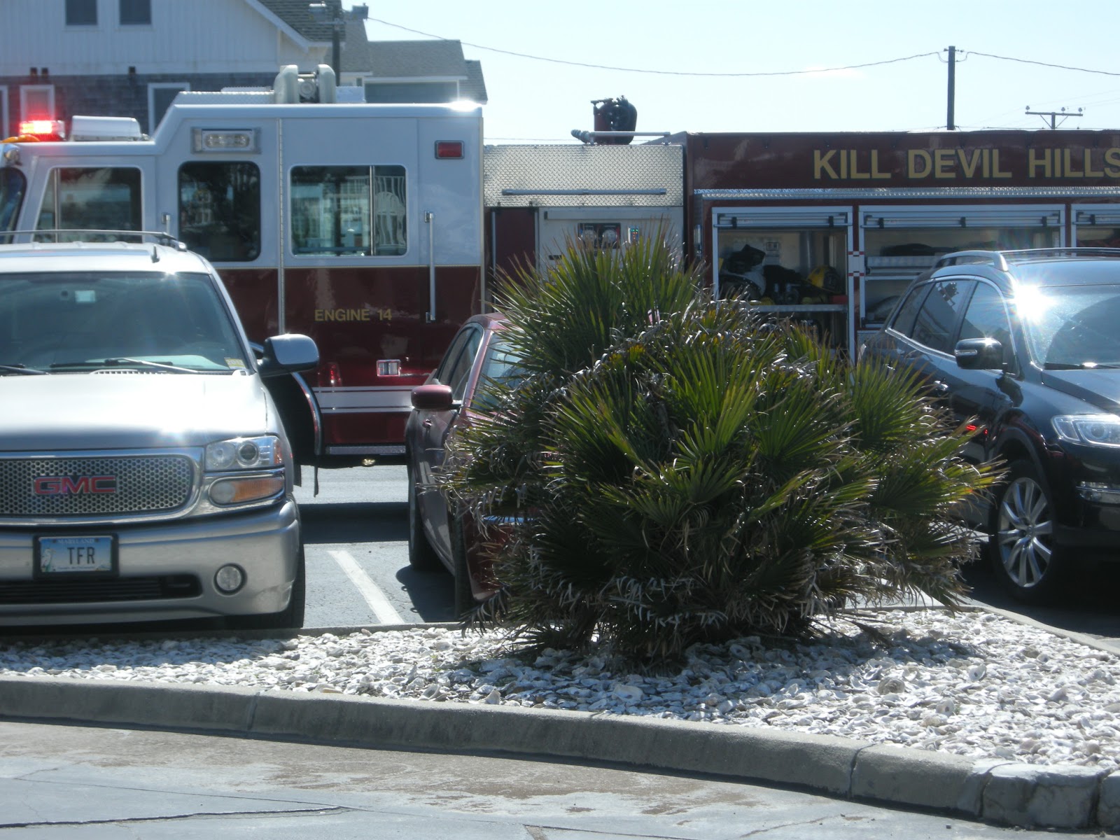 Kitchens Are Monkey Business: The Hawthornes Attend A Taste Of The ...