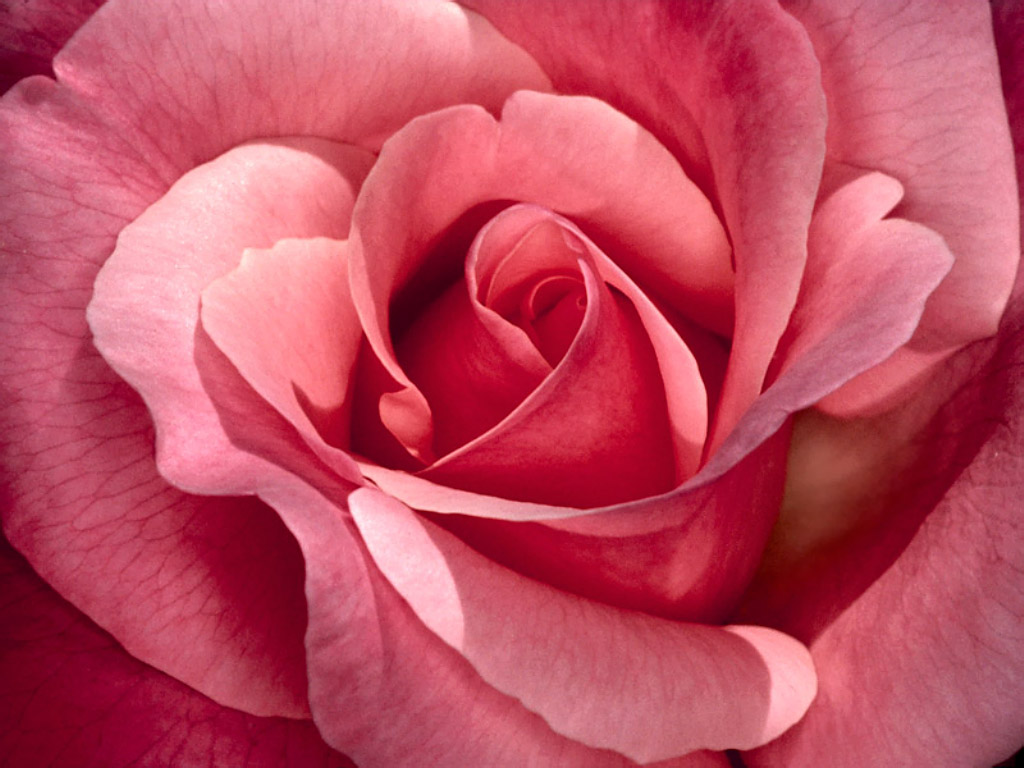 Beautiful Wallpaper Beautiful Wallpaper