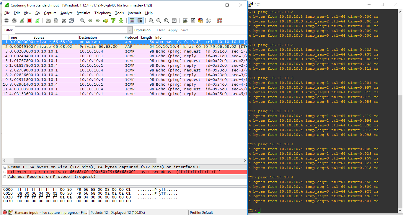 Arp ping. Seq (4р16.3q28.3). ARP Wireshark. Time request протокол (10 клиентов). Ping-запрос как выглядит.