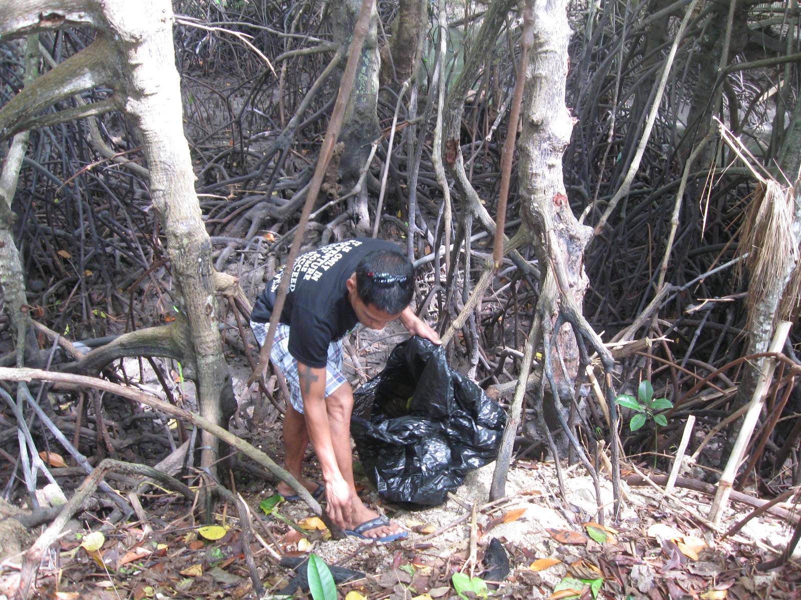 LOGSAC Mangrove Clean Up Drive at Our Paradise Resort