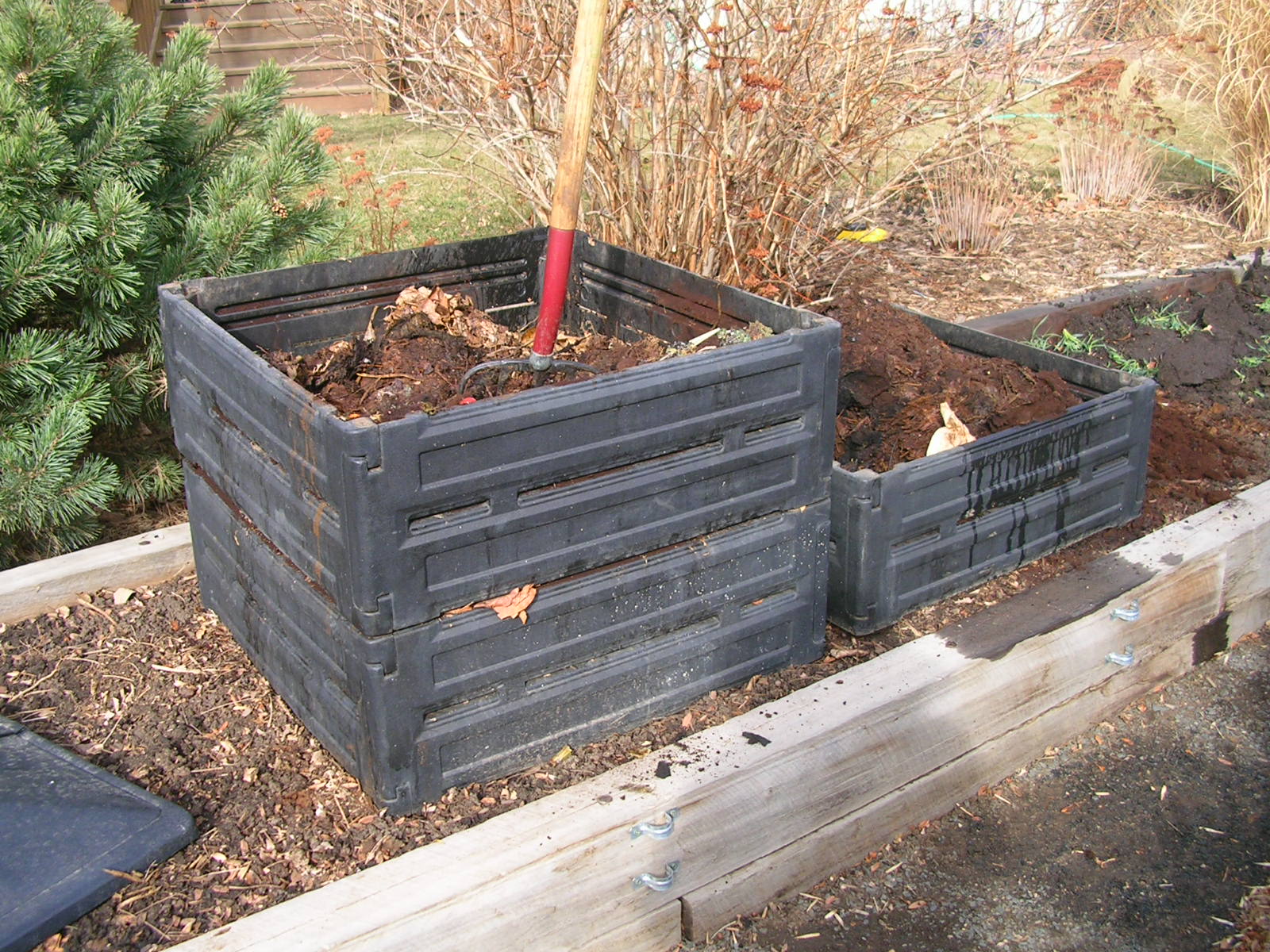 Garden with Betty Cahill Compost Community