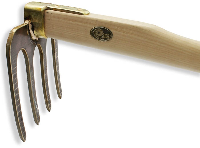 Let's Talk Lit February 2017