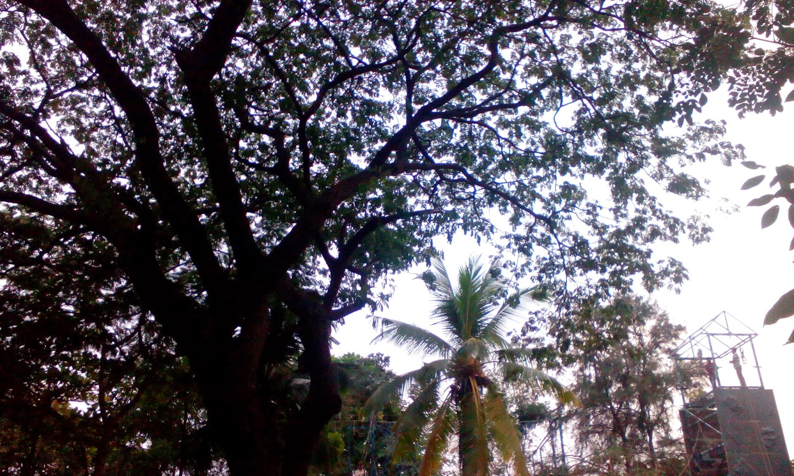 Bhavan S Nature Park Mumbai Bhavan S Nature Park Mumbai