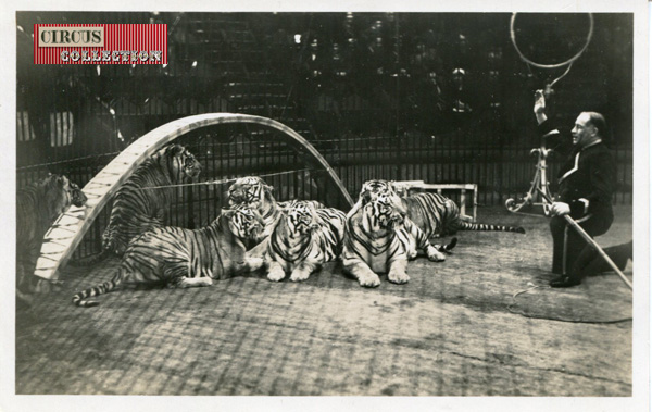 Dans la piste la cage centrale ou le compteur Rossler y présente ses tigres 
