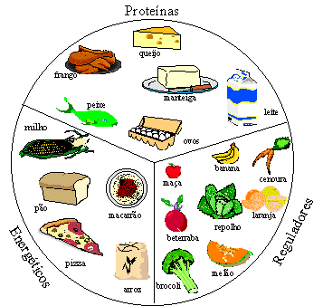 Dieta para ciclismo profesional