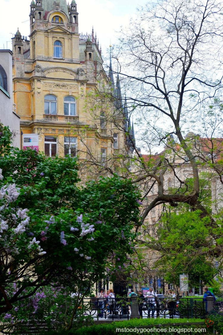 Beautiful Old Town in Prague| Ms. Toody Goo Shoes #prague #oldtownprague #danuberivercruise