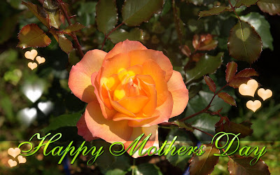 Happy Mothers Day 2016 Roses Images Happy Mothers Day 2016 Roses Images