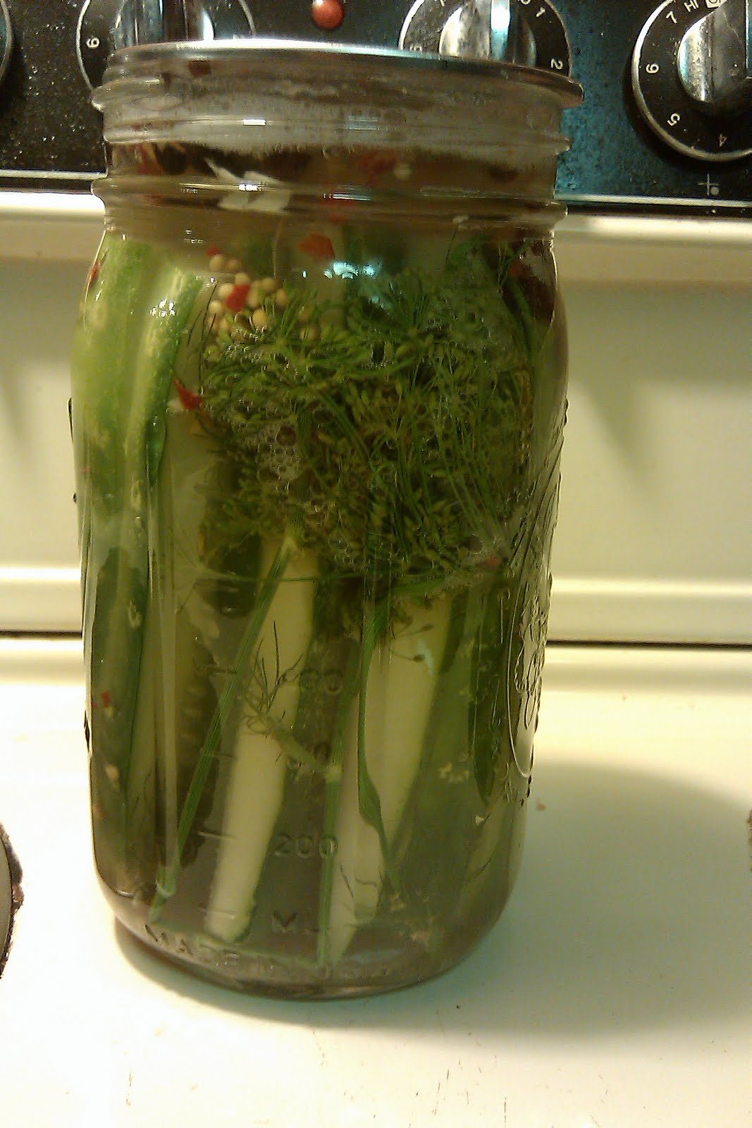 Biological Thinking In a Pickle