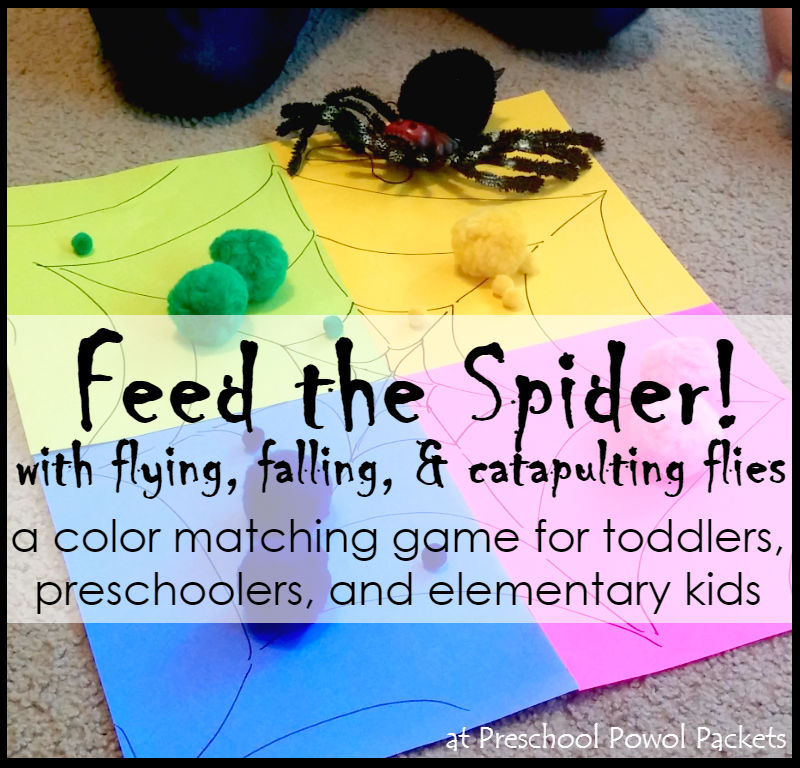 Preschool Spider Activities