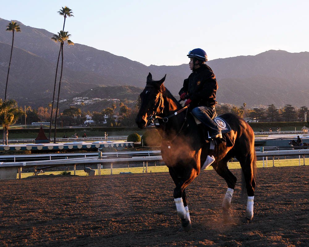 judy-s-photo-blog-santa-anita-race-track-photographer-s-day
