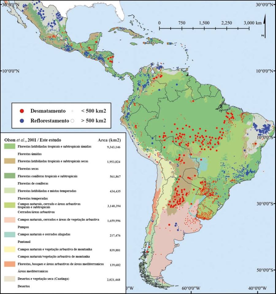 Blog do AXEL GRAEL: ONU lança relatório sobre o meio ambiente na ...
