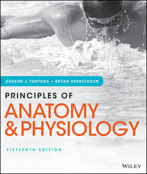 Solution Manual & Test Bank: Test Bank for Principles of Anatomy and ...