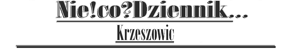 NieCoDziennik Krzeszowic