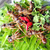 Đặc sản dế chiên Kon Tum ngon hết chỗ chê