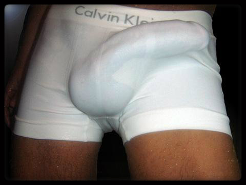 Bulging Cock Porn - Big wet dick bulges - Porn pictures