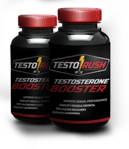 Muscle Building Supplements
