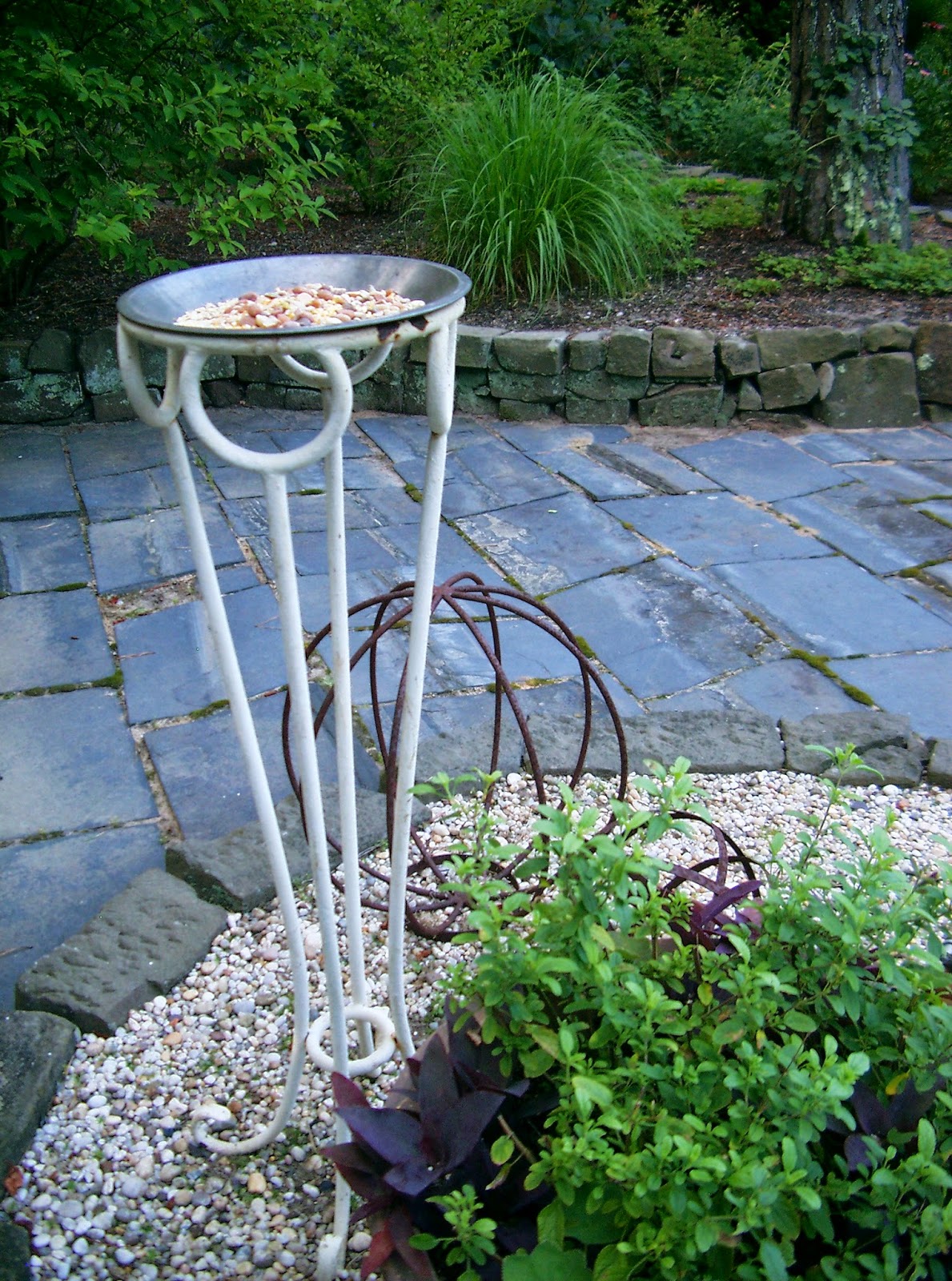 pie pan feeder ©linda nelson 2014
