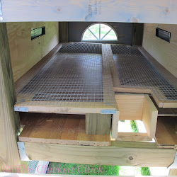 quail coop chicken wire floor building door pop board droppings chick build looked should along