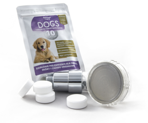 Przetestuj Animal Care Dogs Konkurs