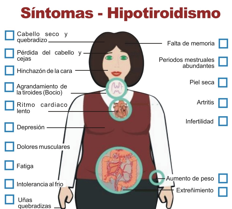 Perdida de peso e hipotiroidismo