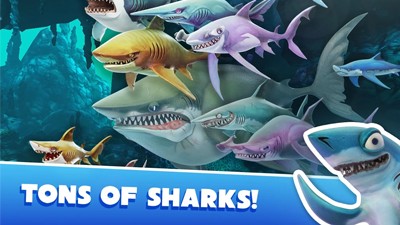 Hungry Shark World