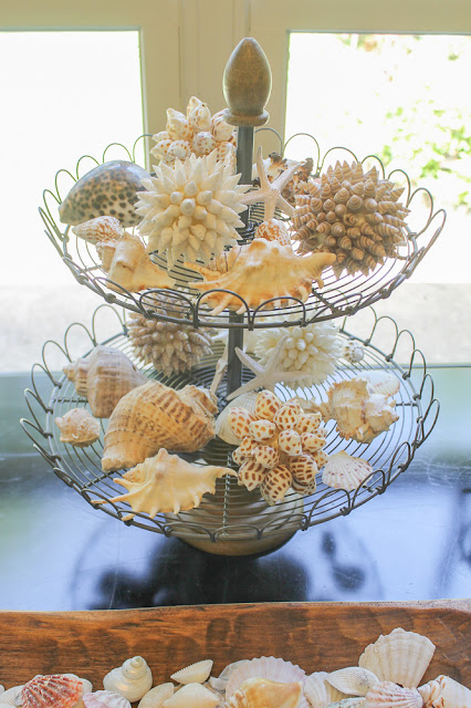 how to decorate with shells
