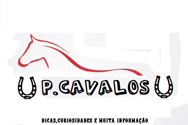P.CAVALOS - CURIOSIDADES,DICAS.