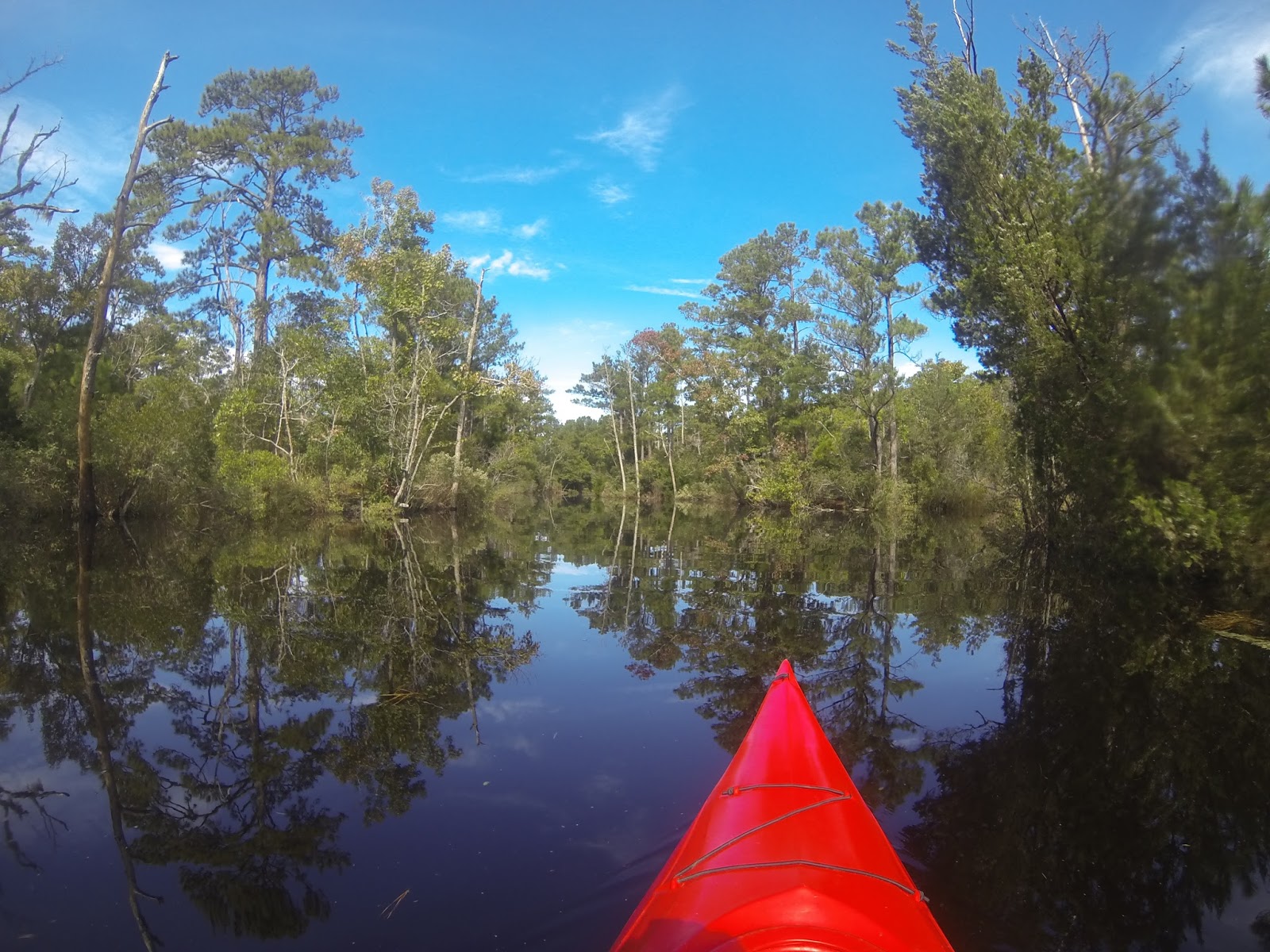 American Travel Journal Kayaking in Kitty Hawk Woods Coastal Reserve