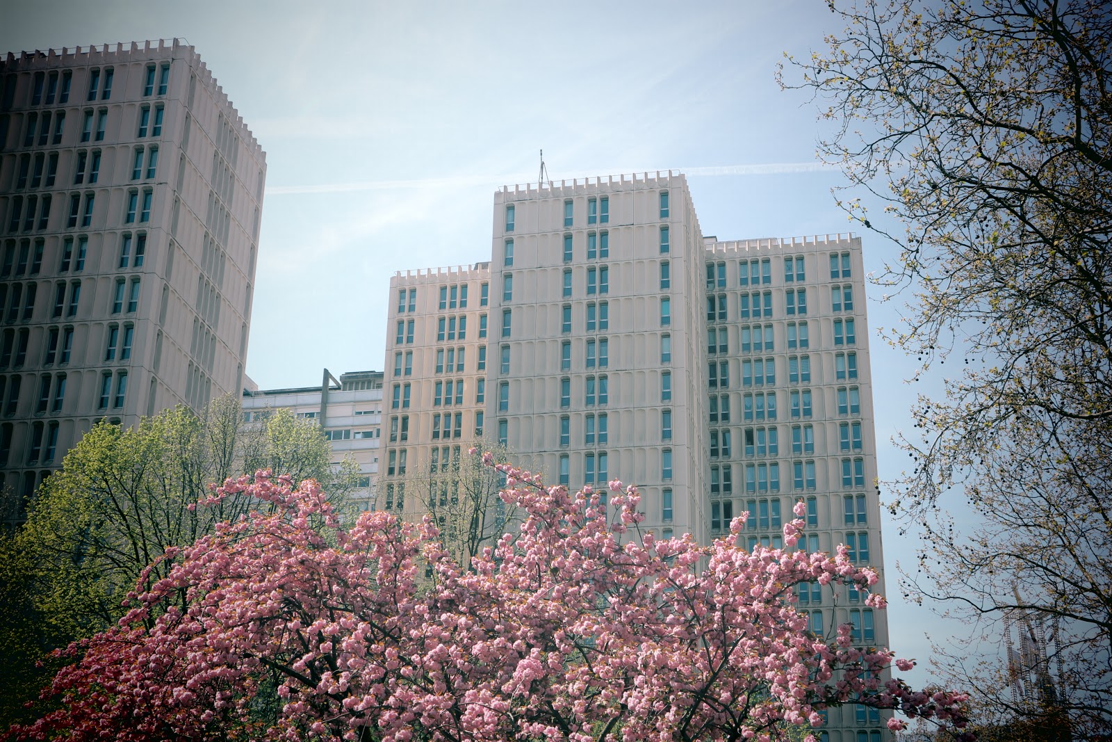 Ensemble, rue Albert Bayet, Paris 13