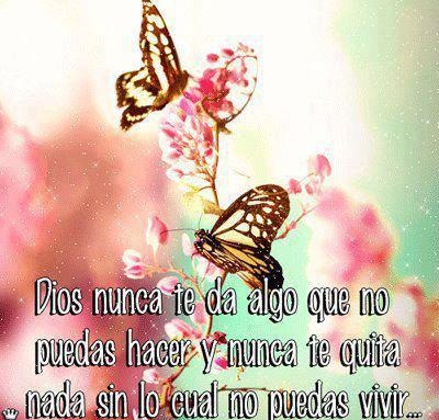 Pensamientos y Reflexiones: VIVE AL MÁXIMO