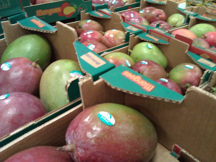 BRAZIL MANGOES ARE STILL AT 9.99 FOR AN 8 COUNT AT COSTCO IN VISTA