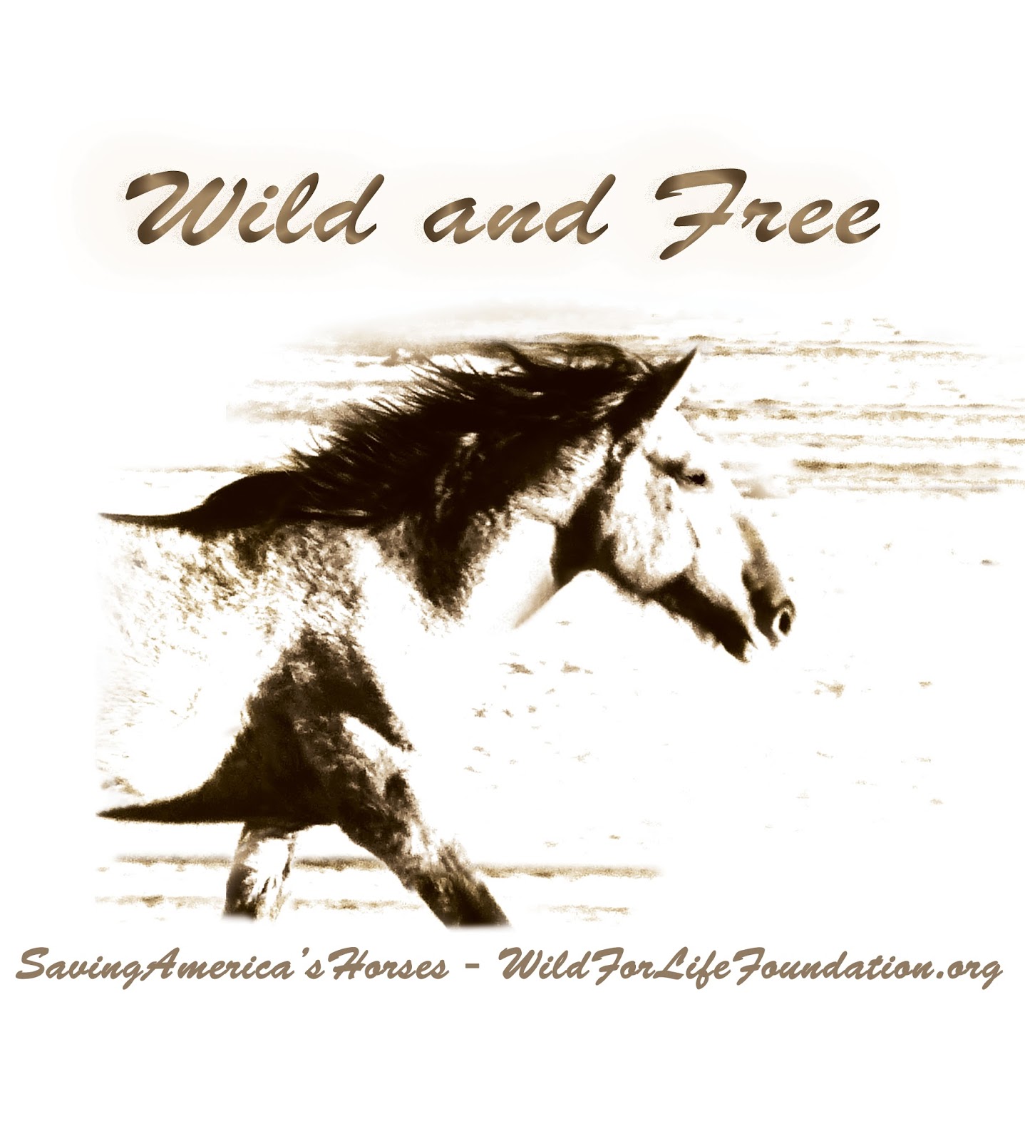 Saving America's Horses WILD and FREE Hope Tees for Horses put