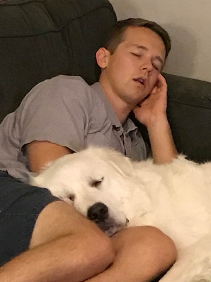 HOMEMADE PET TREATS AND RECIPES BEEF DOG BONES