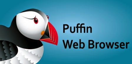 Puffin Web Browser Pro v4.6.1.2083 Full APK