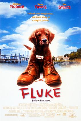 Fluke [1995] [DVDRip] [Subtitulada]