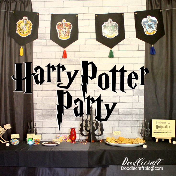 Harry Potter Halloween Party!