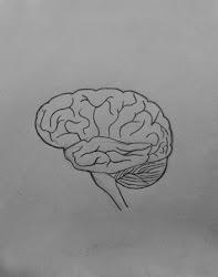 brain draw human step neat stem